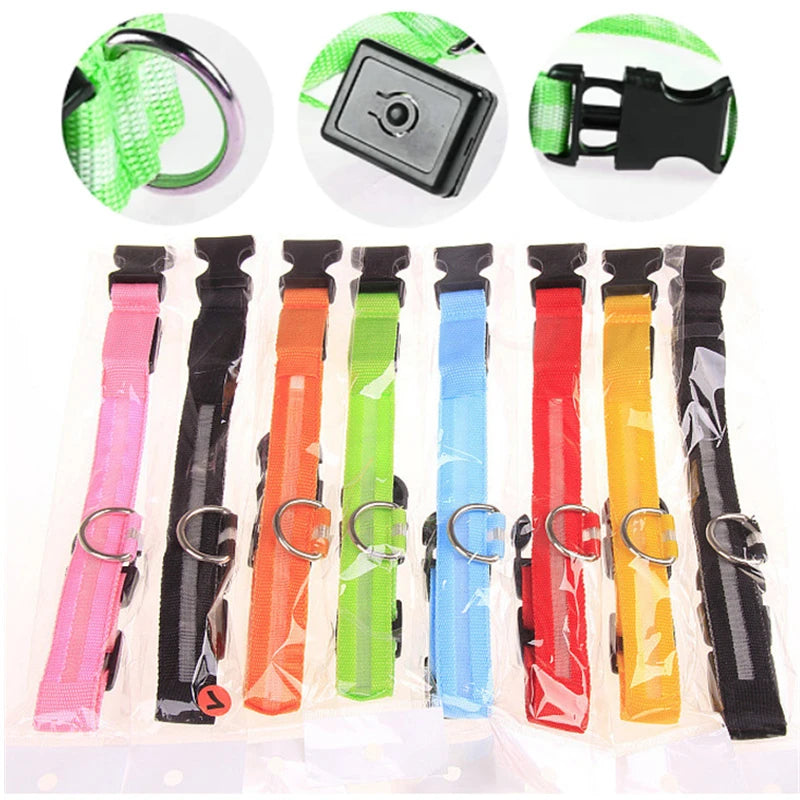 LED Glowing Rechargeable Dog Collar Night Safety