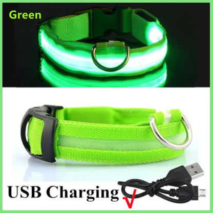 LED Glowing Rechargeable Dog Collar Night Safety