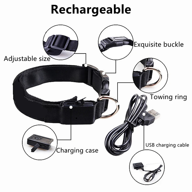 LED Glowing Rechargeable Dog Collar Night Safety