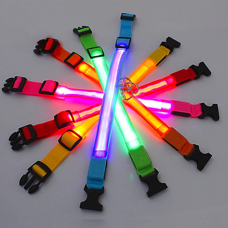 LED Glowing Rechargeable Dog Collar Night Safety