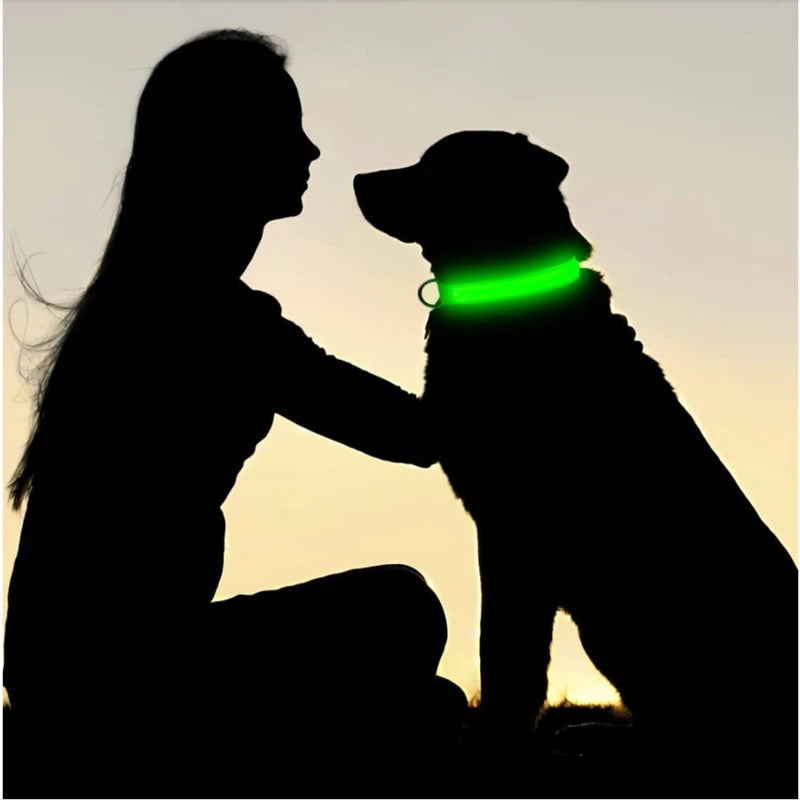LED Glowing Rechargeable Dog Collar Night Safety