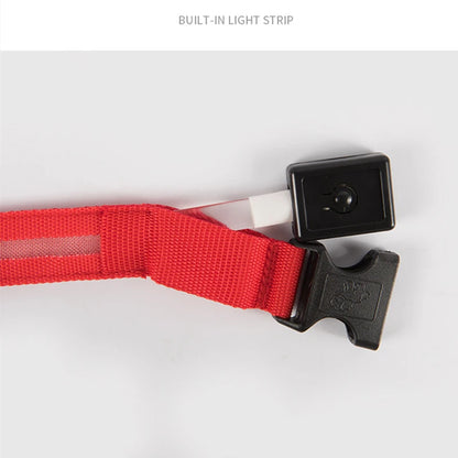 LED Glowing Rechargeable Dog Collar Night Safety