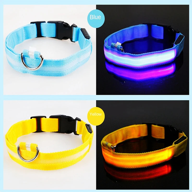 LED Glowing Rechargeable Dog Collar Night Safety