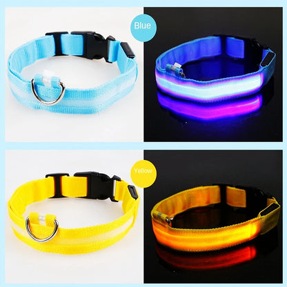 LED Glowing Rechargeable Dog Collar Night Safety