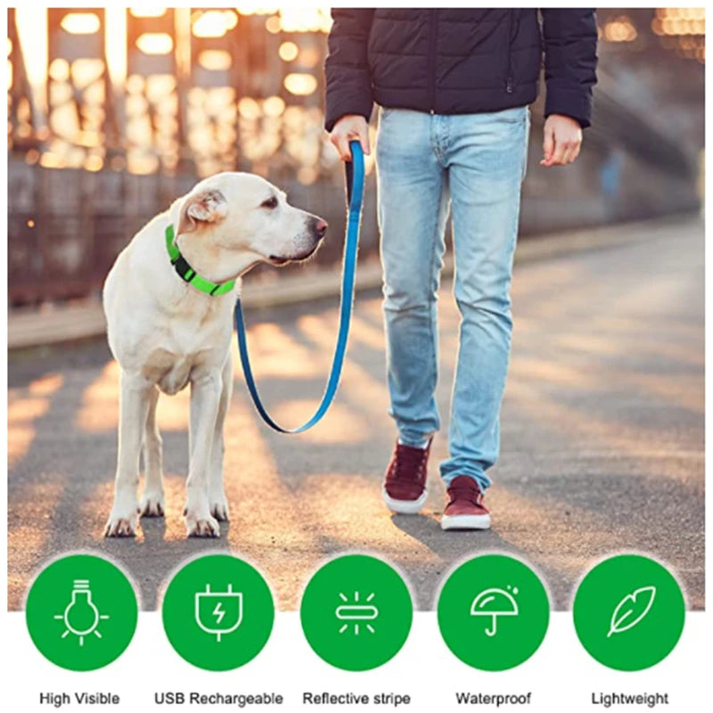 LED Glowing Rechargeable Dog Collar Night Safety