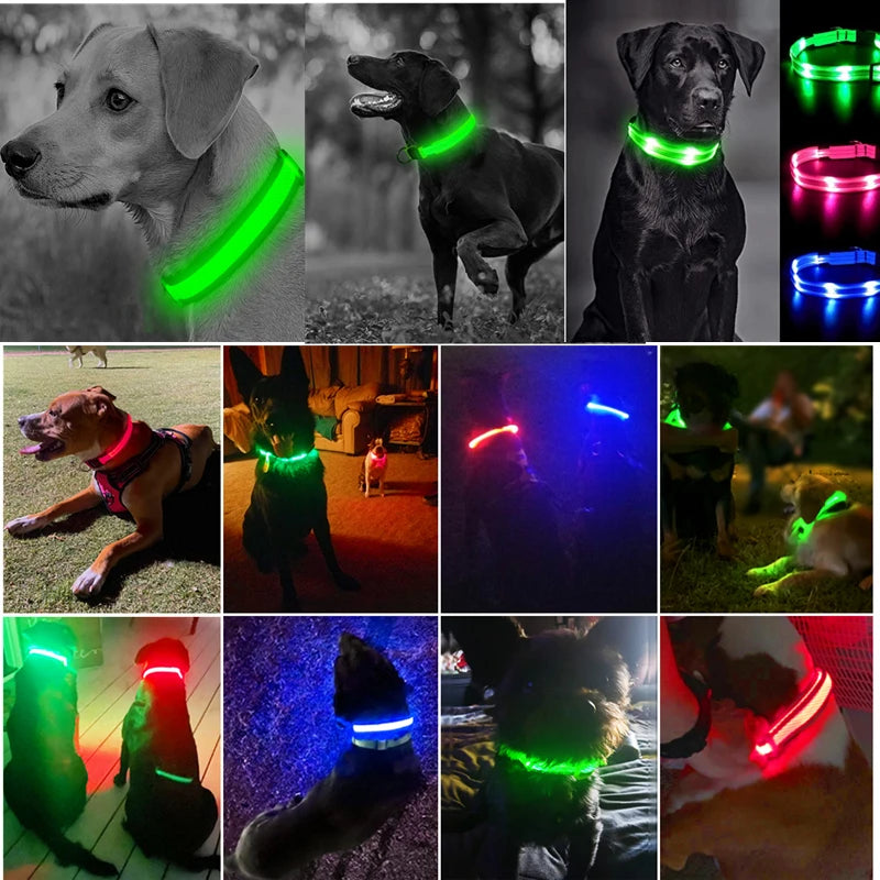 LED Glowing Rechargeable Dog Collar Night Safety