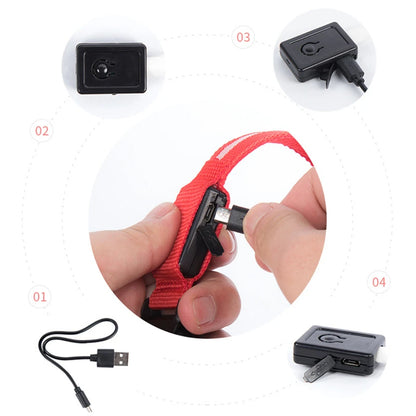LED Glowing Rechargeable Dog Collar Night Safety