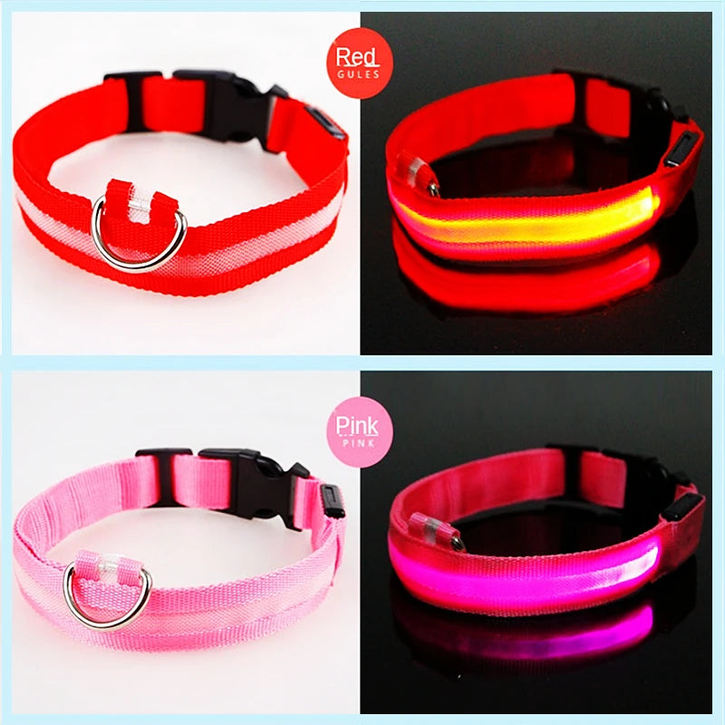 LED Glowing Rechargeable Dog Collar Night Safety