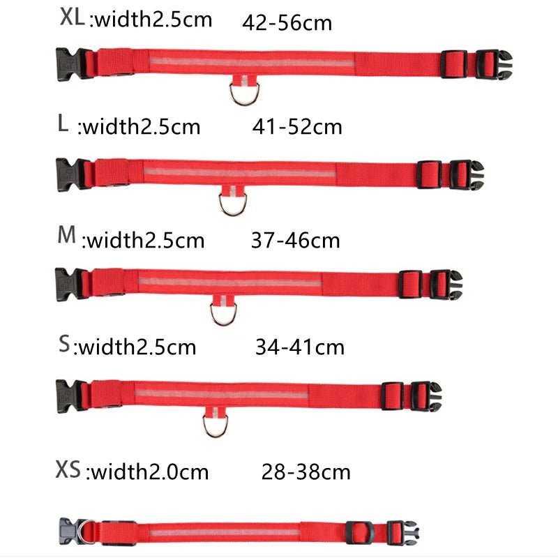 LED Glowing Rechargeable Dog Collar Night Safety
