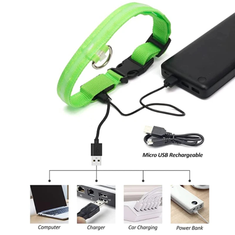LED Glowing Rechargeable Dog Collar Night Safety
