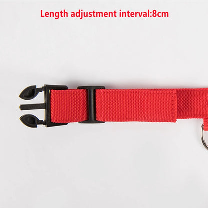LED Glowing Rechargeable Dog Collar Night Safety