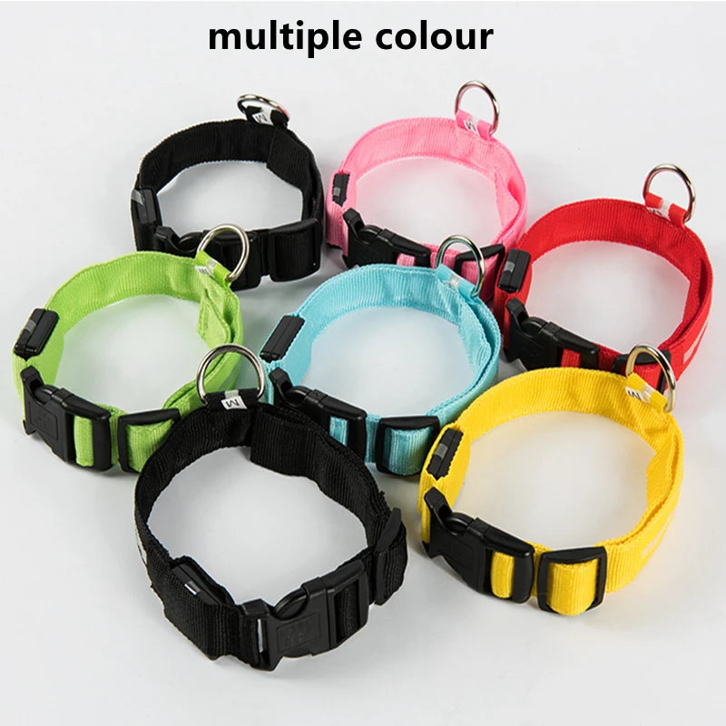 LED Glowing Rechargeable Dog Collar Night Safety