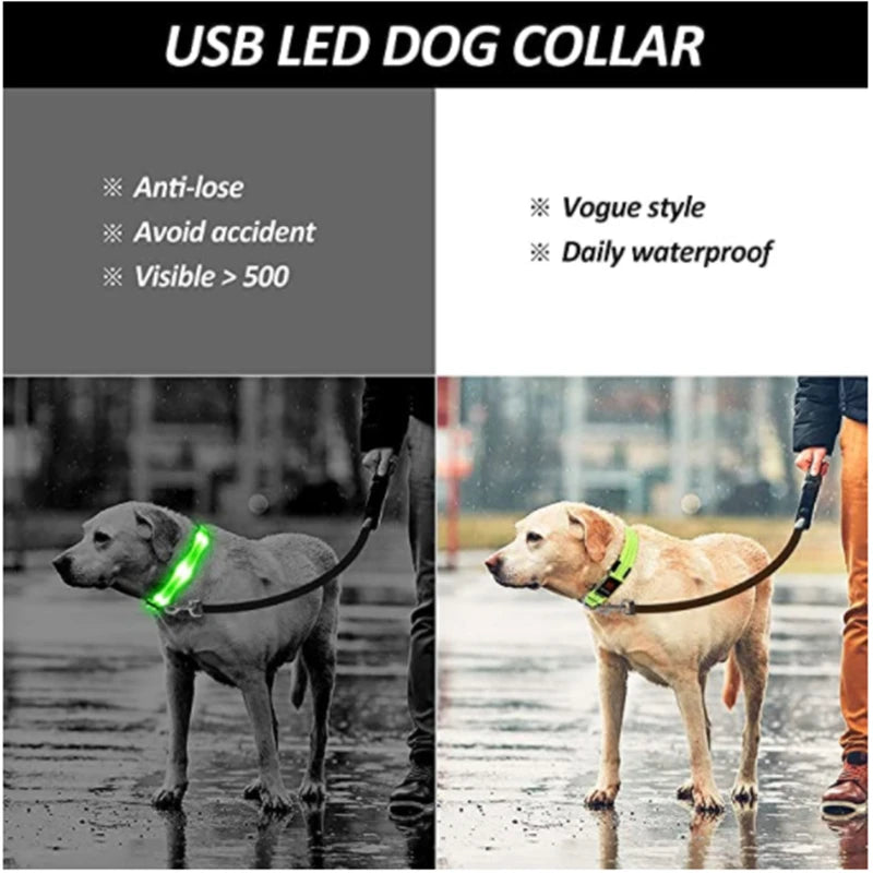 LED Glowing Rechargeable Dog Collar Night Safety