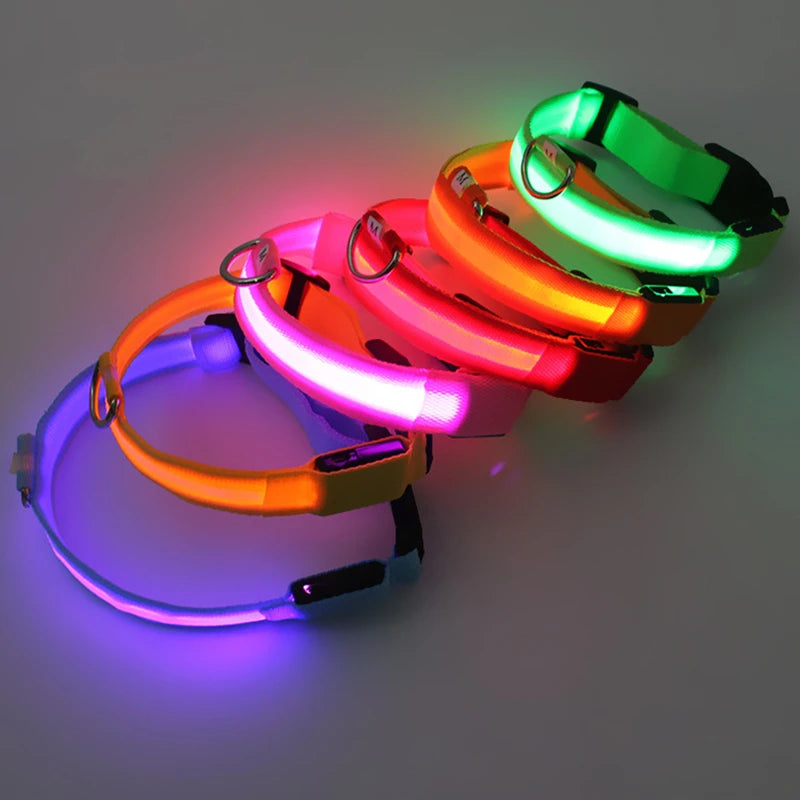 LED Glowing Rechargeable Dog Collar Night Safety