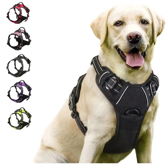 Complete Dog Collar Harness Leash Accessories Set