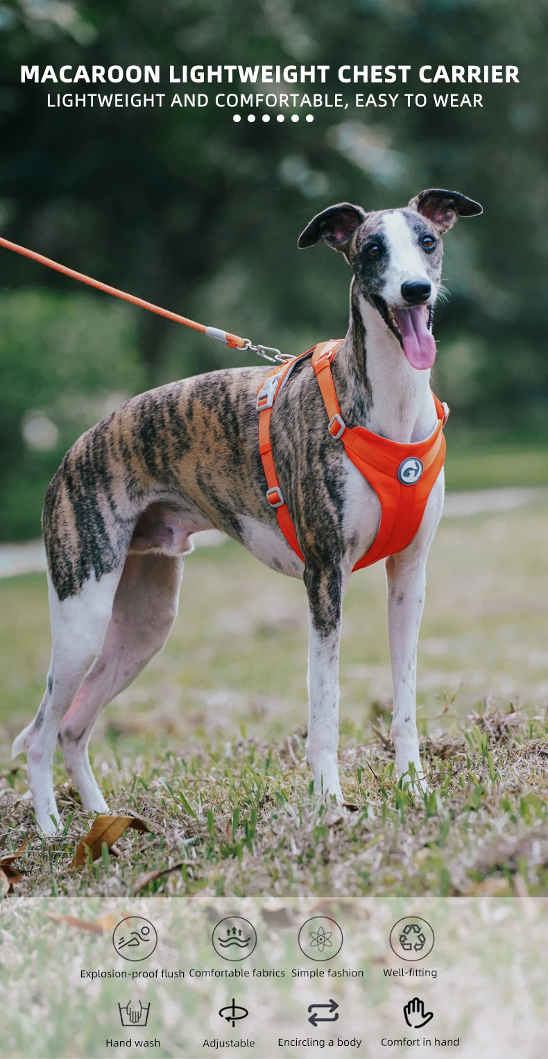 Breathable No Pull Reflective Dog Harness Vest