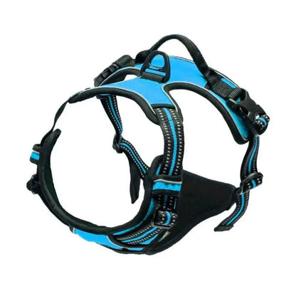 Complete Dog Collar Harness Leash Accessories Set
