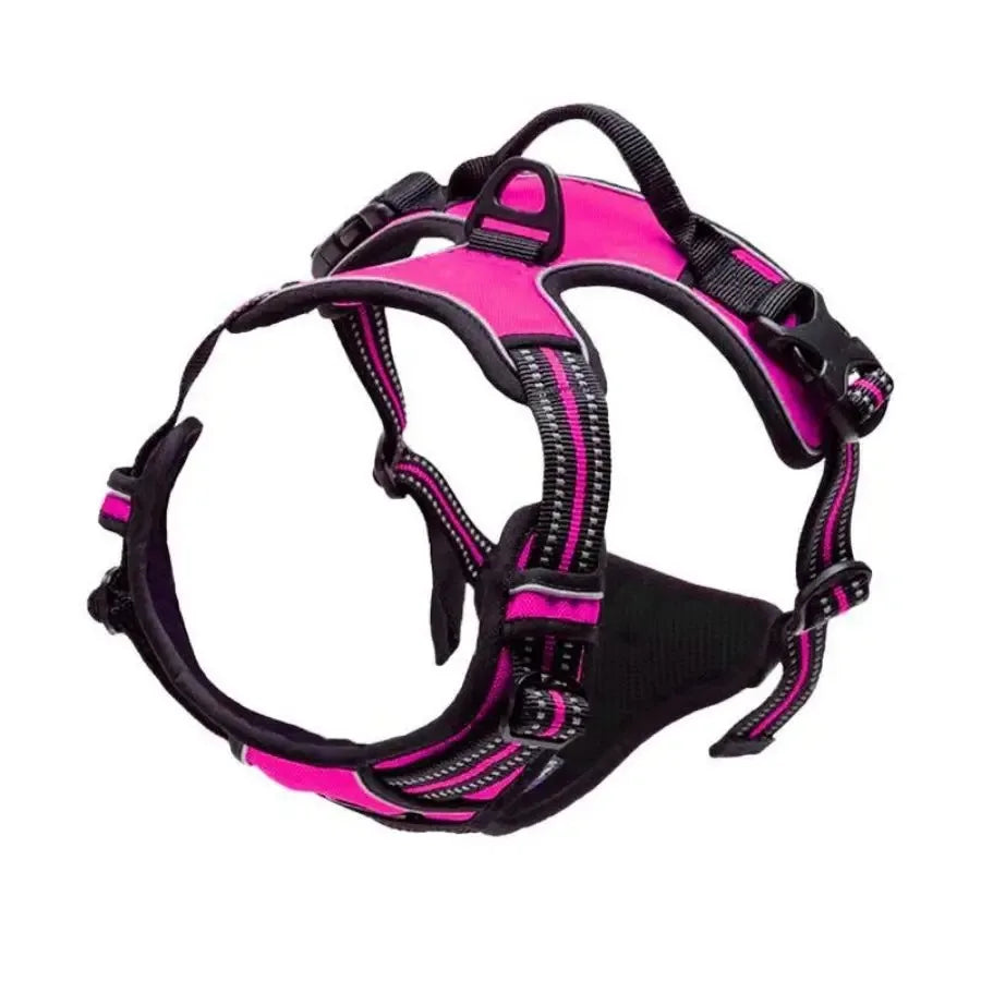 Complete Dog Collar Harness Leash Accessories Set