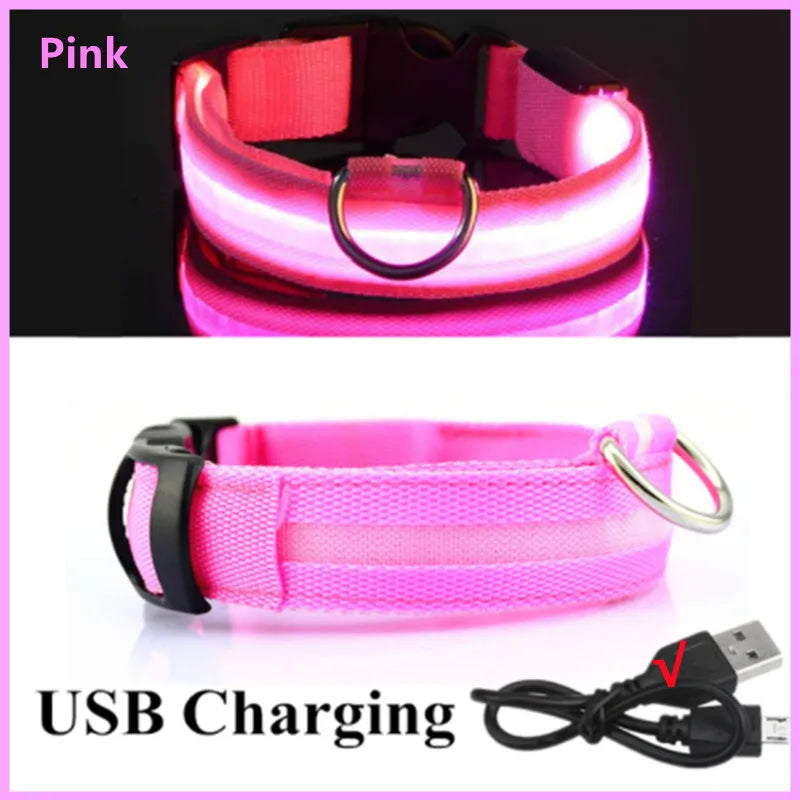 LED Glowing Rechargeable Dog Collar Night Safety