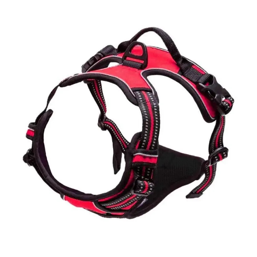 Complete Dog Collar Harness Leash Accessories Set