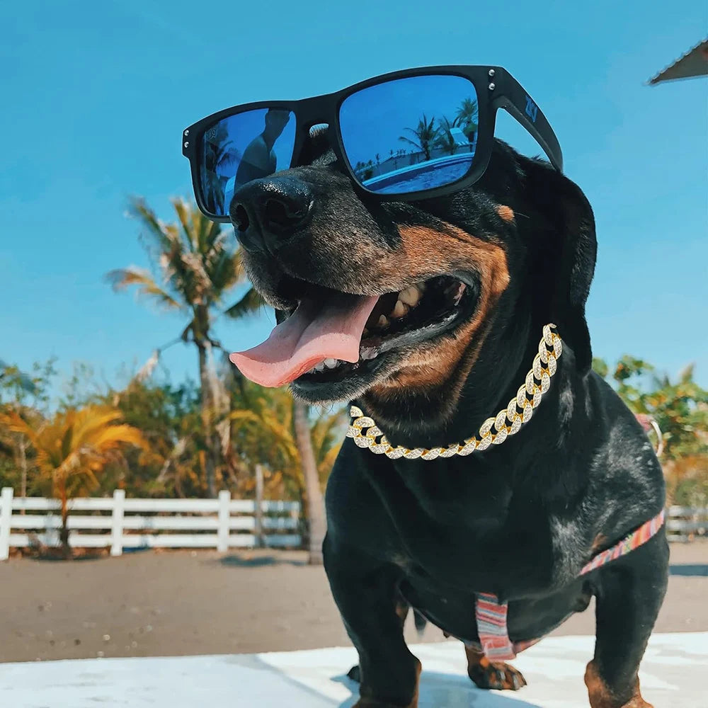 Luxury Gold Diamond Dog Collar Cuban Chain