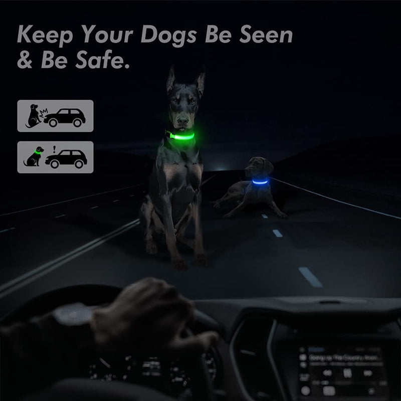 LED Glowing Rechargeable Dog Collar Night Safety