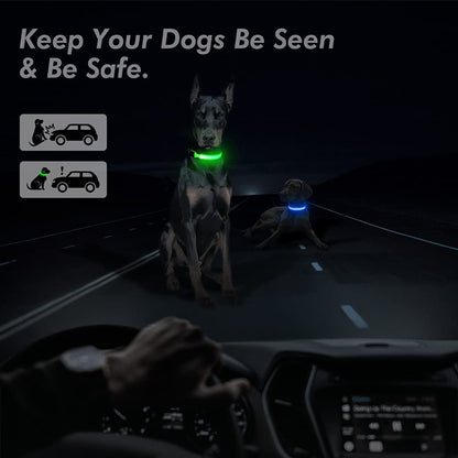 LED Glowing Rechargeable Dog Collar Night Safety