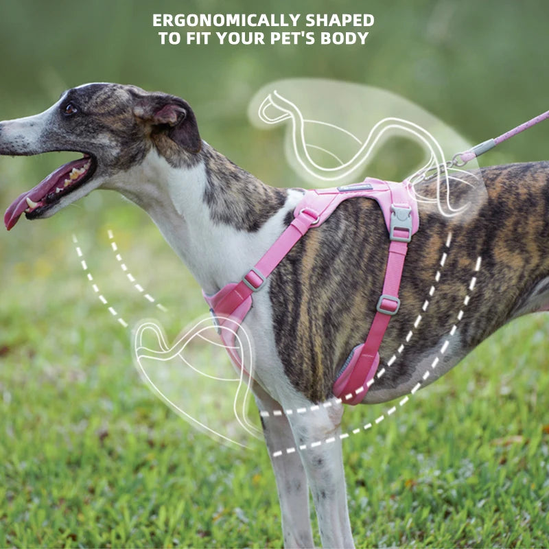 Breathable No Pull Reflective Dog Harness Vest