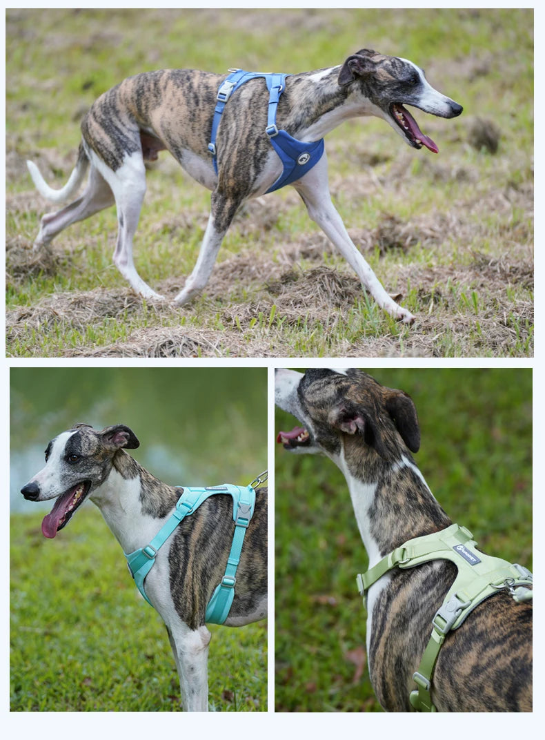 Breathable No Pull Reflective Dog Harness Vest
