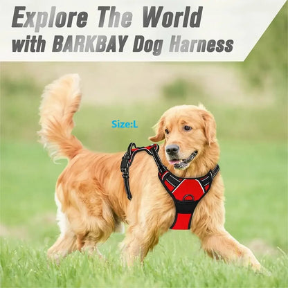 Complete Dog Collar Harness Leash Accessories Set