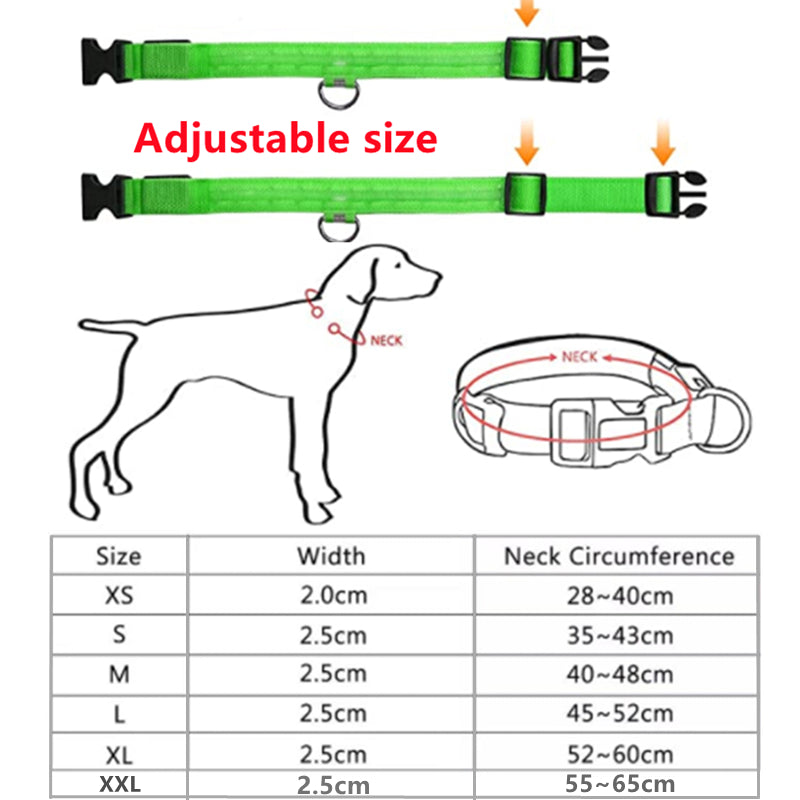 LED Glowing Rechargeable Dog Collar Night Safety