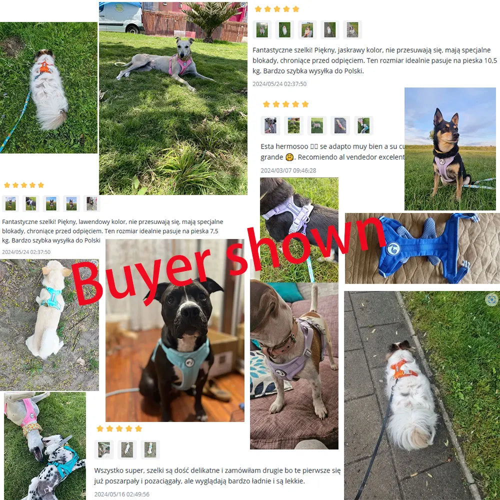 Breathable No Pull Reflective Dog Harness Vest