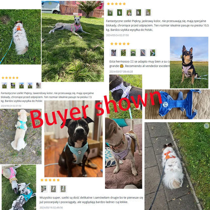 Breathable No Pull Reflective Dog Harness Vest