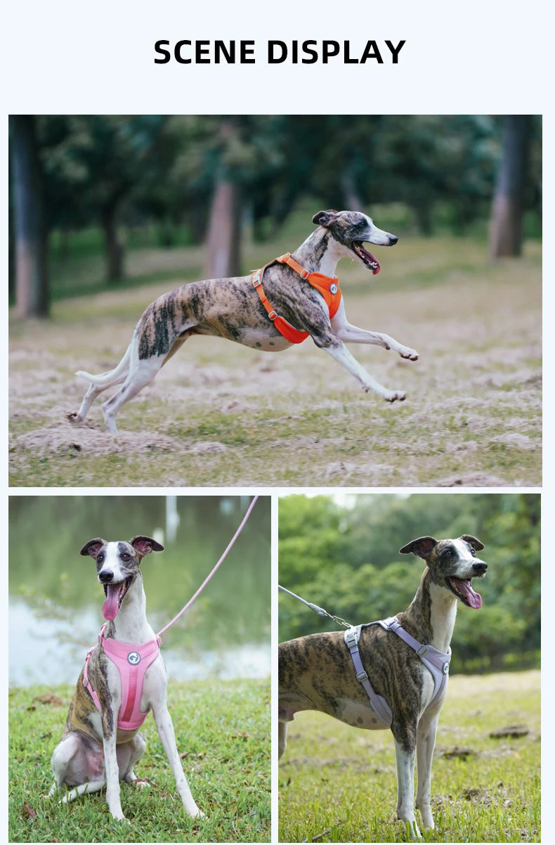 Breathable No Pull Reflective Dog Harness Vest