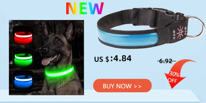 LED Glowing Rechargeable Dog Collar Night Safety