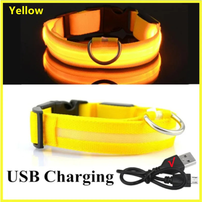 LED Glowing Rechargeable Dog Collar Night Safety