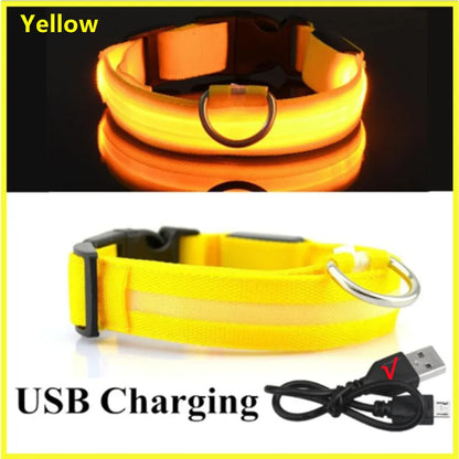 LED Glowing Rechargeable Dog Collar Night Safety