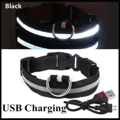 LED Glowing Rechargeable Dog Collar Night Safety