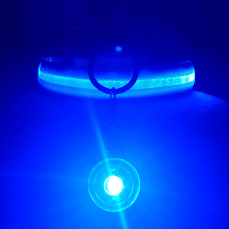 LED Glowing Rechargeable Dog Collar Night Safety