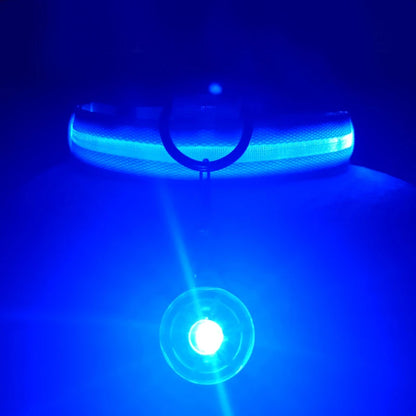 LED Glowing Rechargeable Dog Collar Night Safety