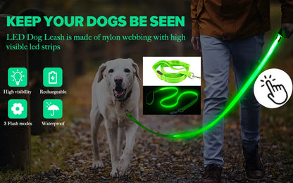 LED Glowing Rechargeable Dog Collar Night Safety