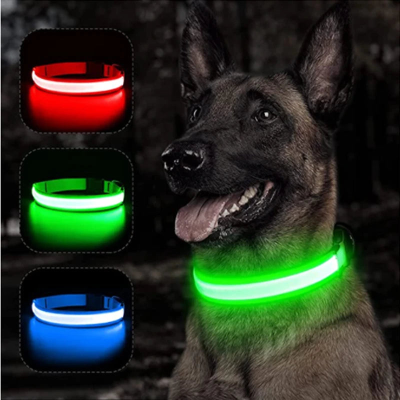 LED Glowing Rechargeable Dog Collar Night Safety