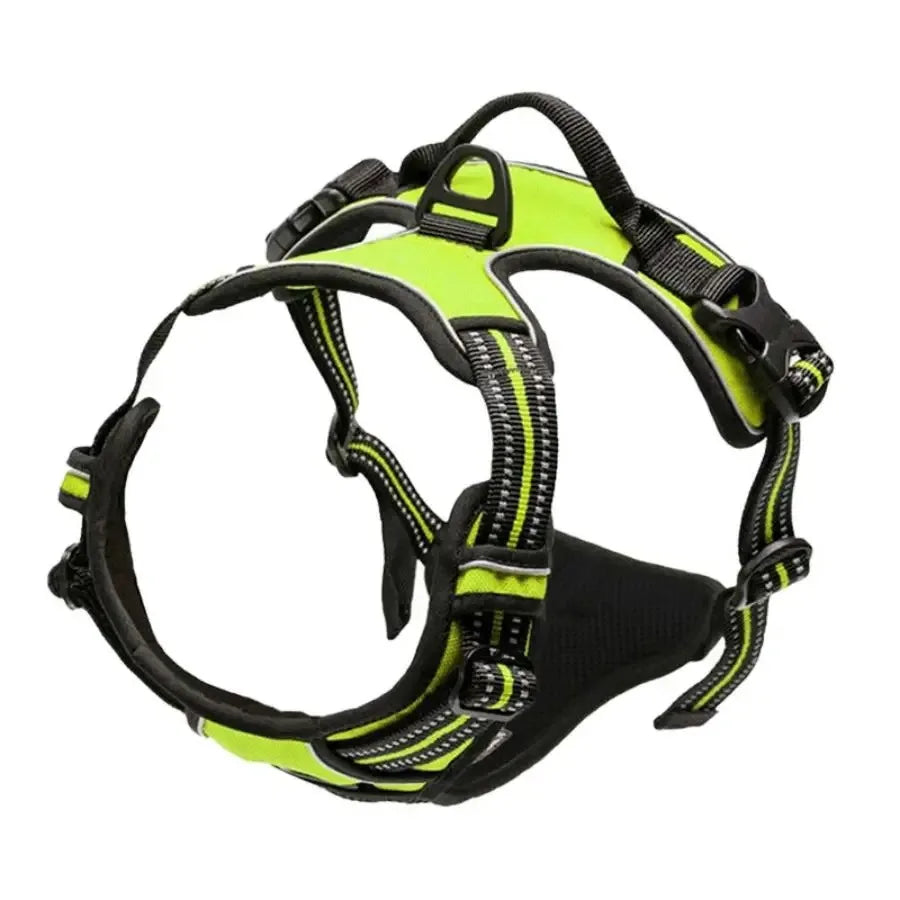 Complete Dog Collar Harness Leash Accessories Set