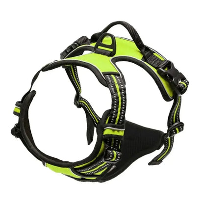 Complete Dog Collar Harness Leash Accessories Set