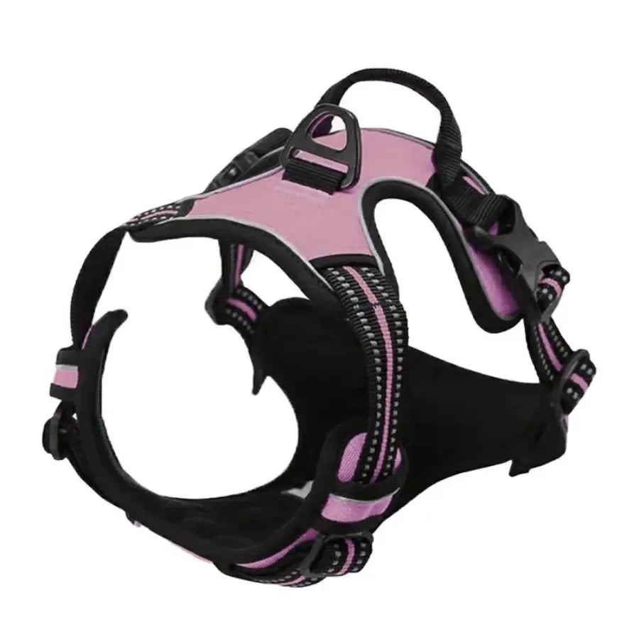 Complete Dog Collar Harness Leash Accessories Set