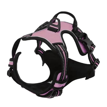 Complete Dog Collar Harness Leash Accessories Set