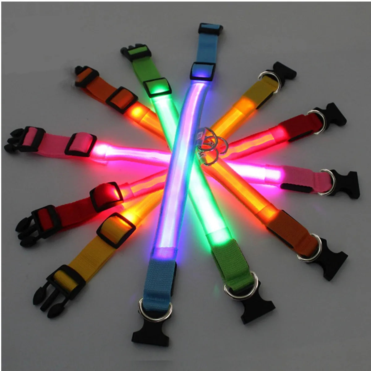 LED Glowing Rechargeable Dog Collar Night Safety