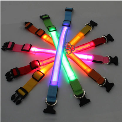 LED Glowing Rechargeable Dog Collar Night Safety