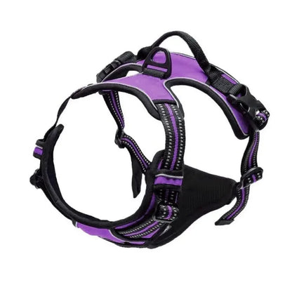 Complete Dog Collar Harness Leash Accessories Set