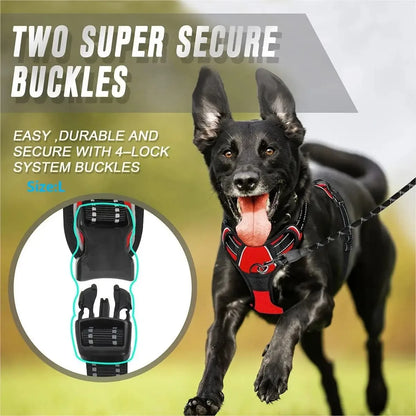 Complete Dog Collar Harness Leash Accessories Set